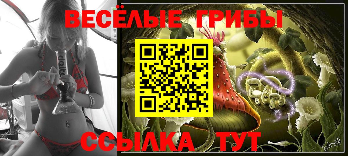 Гай  Галлюциногенные грибы мицелий  купить наркоту  Вход с VPN 